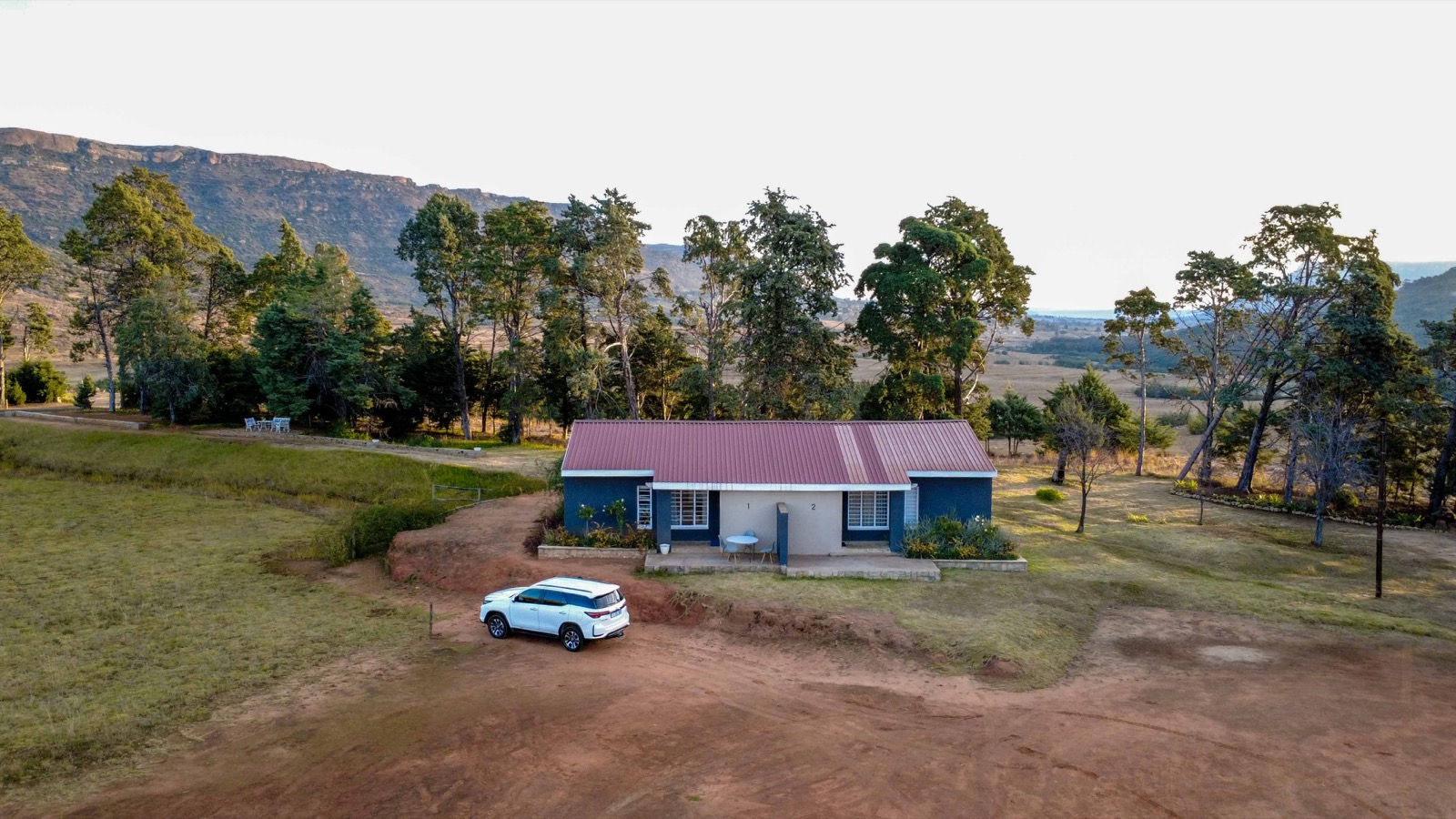 Accommodation among the trees