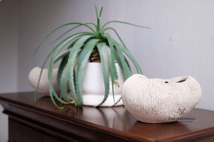 Simple, understated touches